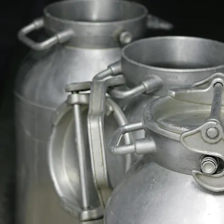 Alloggio per agriturismo Rini *